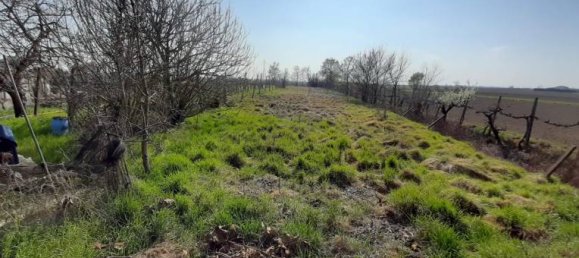 5 rooms House in Canaro, Italy No. 252479 3