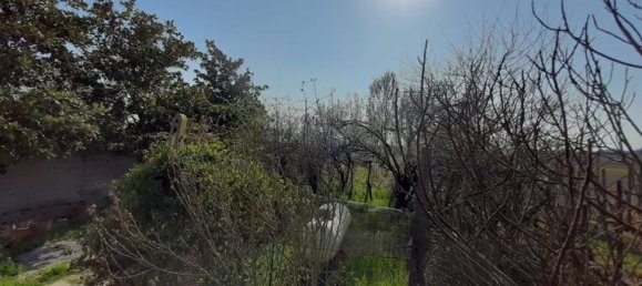 5 rooms House in Canaro, Italy No. 252479 6