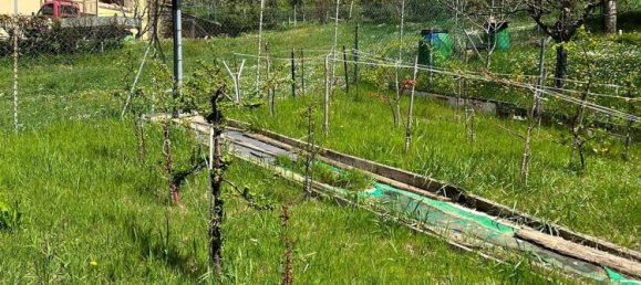 2 rooms Apartment in Monghidoro, Italy No. 128230 11