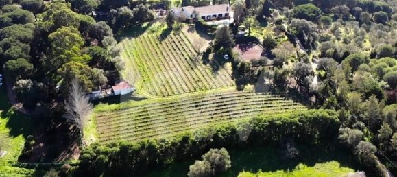 Casa de 6 dormitorios en Setubal, Portugal No. 91633 5