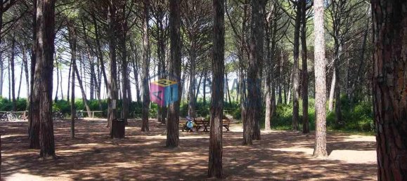 2 bedrooms Apartment in Rosignano Marittimo, Italy No. 48464 12