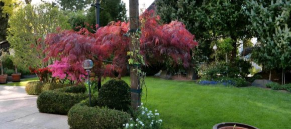 3 bedrooms Townhouse in Herne, Germany No. 222015 15