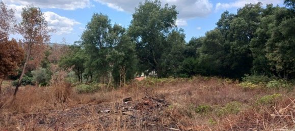 Grundstück in Gondomar, Portugal 9800m², Nr. 300657 6