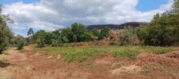 Grundstück in Gondomar, Portugal 9800m², Nr. 300657 8