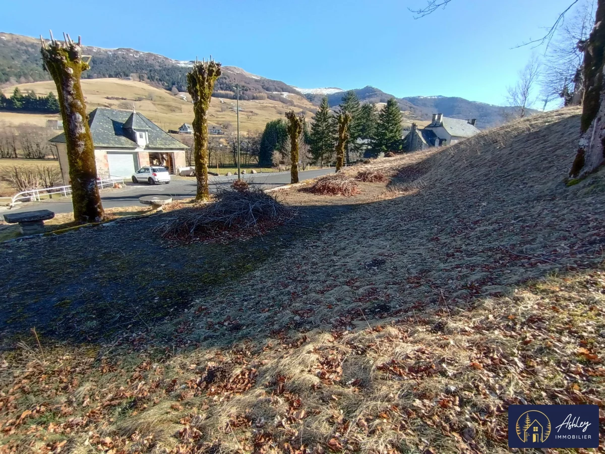 Grundstück in Le Claux, France 1000m², Nr. 200111