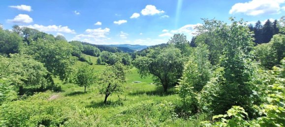2 Schlafzimmer Haus in Rohrbach-Berg, Austria, Nr. 130410 8