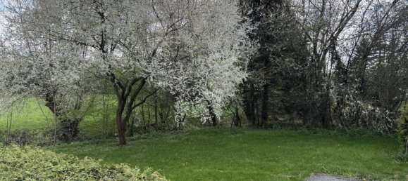 2 غرف نوم منزل في Allentsteig, Austria رقم 180671 6