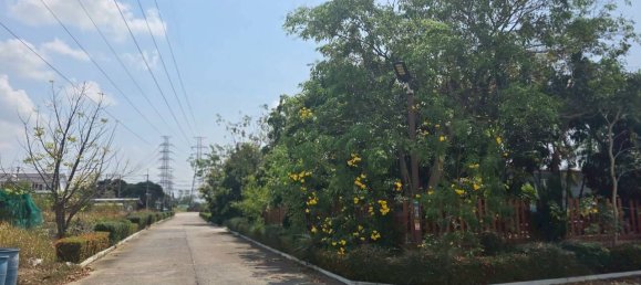 Propriedade comercial em Chon Buri, Thailand N.º 85487 6