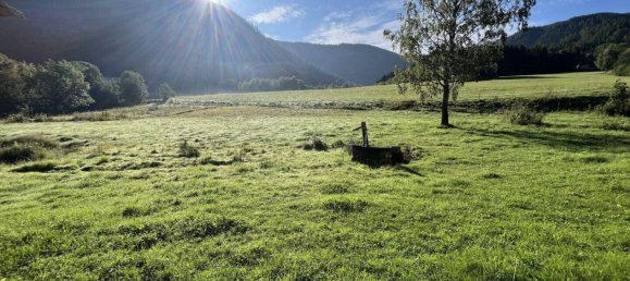  عقار تجاري في Murau, Austria رقم 217404 12
