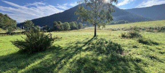  عقار تجاري في Murau, Austria رقم 217404 2