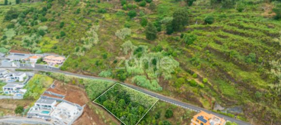Terrain à Calheta, Portugal No. 317472 3