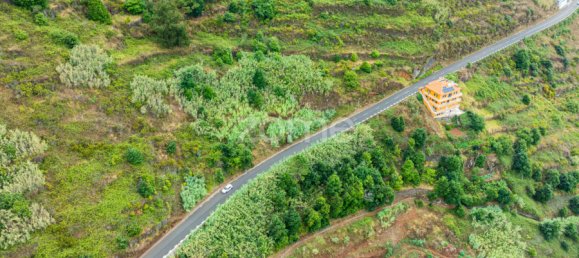 Terrain à Calheta, Portugal No. 317472 5