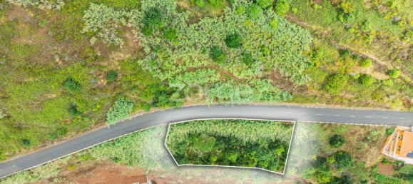 Terrain à Calheta, Portugal No. 317472 4