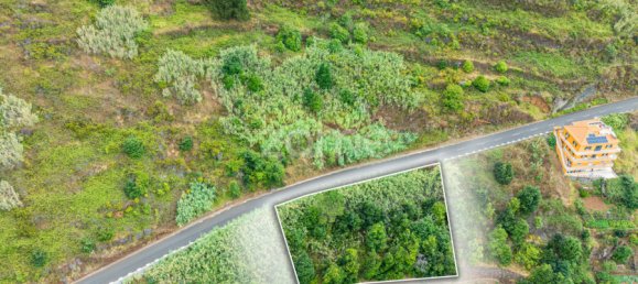 Terrain à Calheta, Portugal No. 317472 2