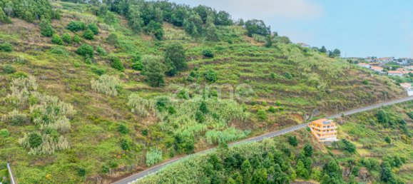 Terrain à Calheta, Portugal No. 317472 8