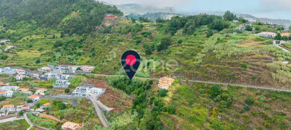 Terrain à Calheta, Portugal No. 317472 10