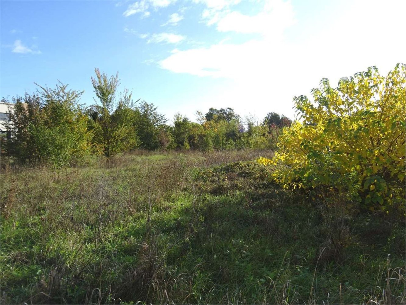 1061m² Land in Formigine, Italy No. 88340