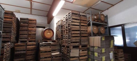 4 rooms Building in Bad Durkheim, Germany No. 117971 13