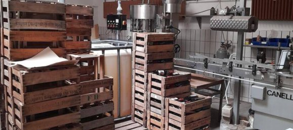 4 rooms Building in Bad Durkheim, Germany No. 117971 14