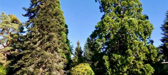 Grundstück in Real Sitio de San Ildefonso, Spain 403m², Nr. 70661 16