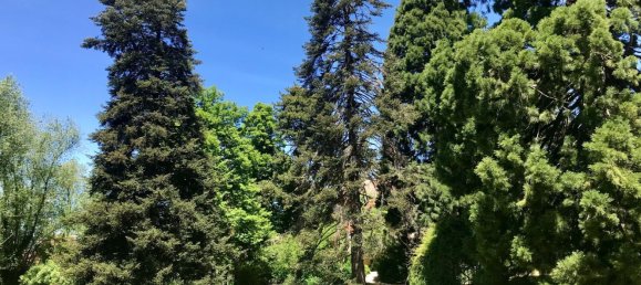 Grundstück in Real Sitio de San Ildefonso, Spain 403m², Nr. 70661 13