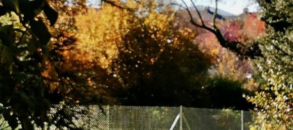 Grundstück in Real Sitio de San Ildefonso, Spain 403m², Nr. 70661 22