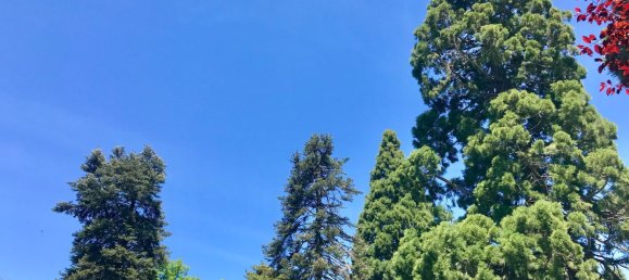 Grundstück in Real Sitio de San Ildefonso, Spain 403m², Nr. 70661 15