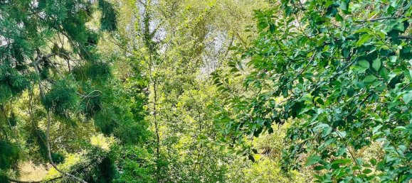 Grundstück in Real Sitio de San Ildefonso, Spain 403m², Nr. 70661 18