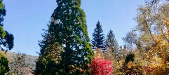 Grundstück in Real Sitio de San Ildefonso, Spain 403m², Nr. 70661 3