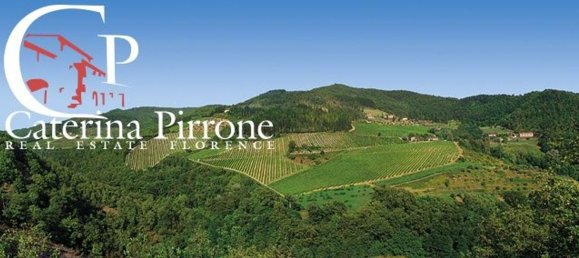 3039m² Commercial property in Vicchio, Italy No. 107043 5