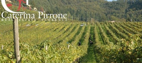 3039m² Commercial property in Vicchio, Italy No. 107043 3