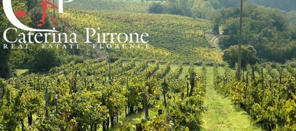 3039m² Commercial property in Vicchio, Italy No. 107043 14