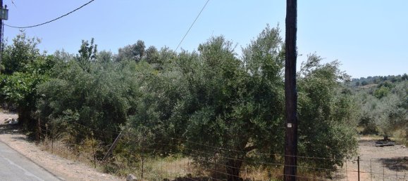 Hotel in Rethymno, Greece 11500m², Nr. 4621 7