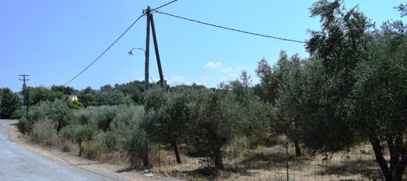 Hotel in Rethymno, Greece 11500m², Nr. 4621 8