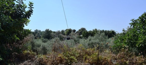 Hotel in Rethymno, Greece 11500m², Nr. 4621 11