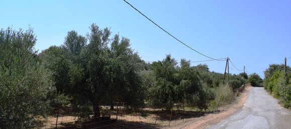 Hotel in Rethymno, Greece 11500m², Nr. 4621 5