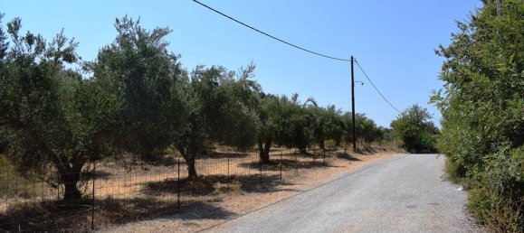 Hotel in Rethymno, Greece 11500m², Nr. 4621 6