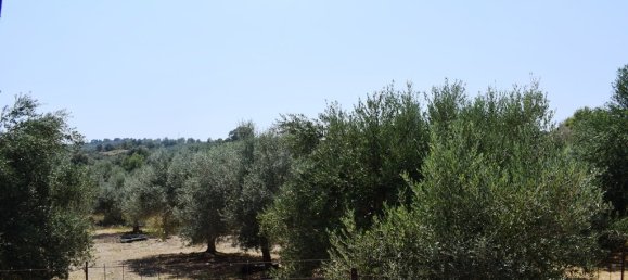 Hotel in Rethymno, Greece 11500m², Nr. 4621 10