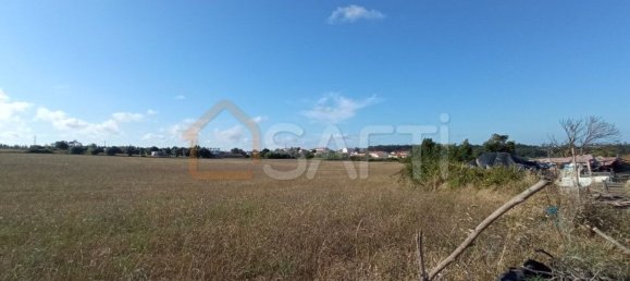 2020m² Land in Maiorca, Portugal No. 19128 5