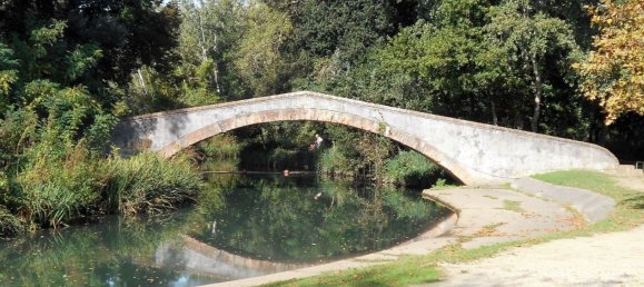 11 rooms Villa in Massa, Italy No. 198596 48