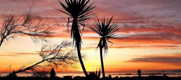 11 rooms Villa in Massa, Italy No. 198596 47