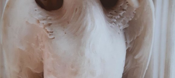 11 rooms Villa in Massa, Italy No. 198596 50