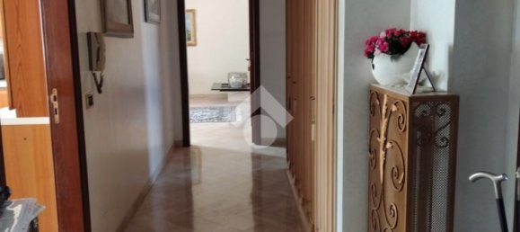 2 bedrooms Apartment in Bisceglie, Italy No. 114429 12