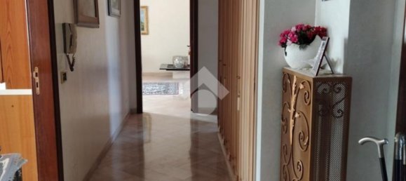 2 bedrooms Apartment in Bisceglie, Italy No. 114429 11