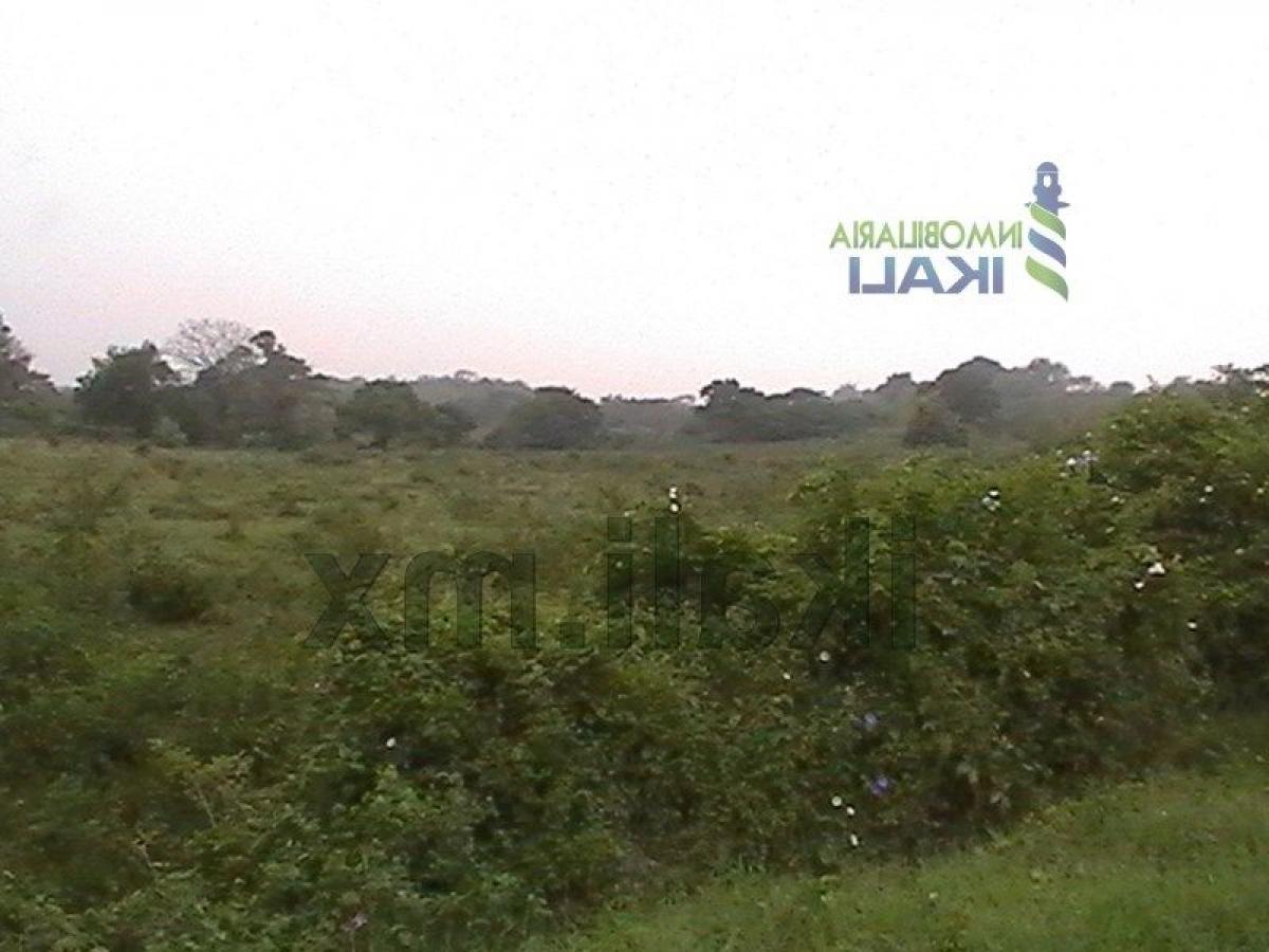  Land in Veracruz, Mexico No. 204697