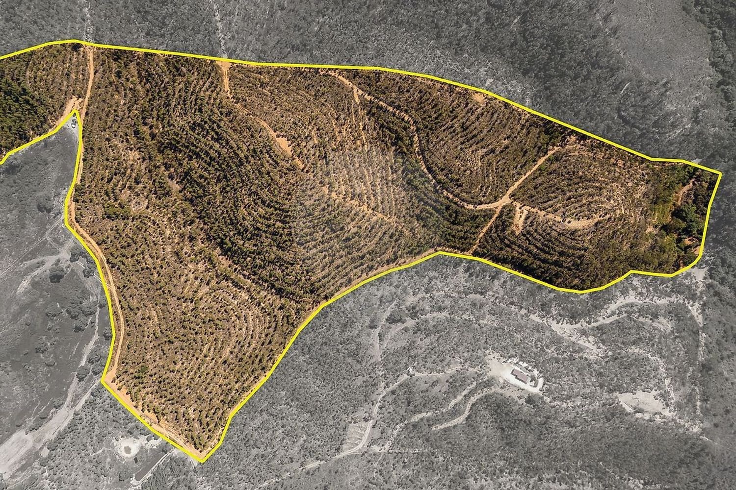 Terrain à Aljezur, Portugal No. 354576