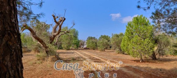 1 Schlafzimmer Villa in Gallipoli, Italy, Nr. 334446 5