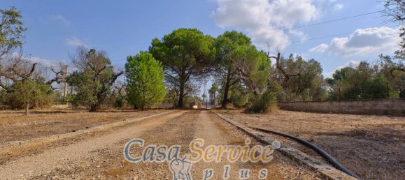 1 Schlafzimmer Villa in Gallipoli, Italy, Nr. 334446 7