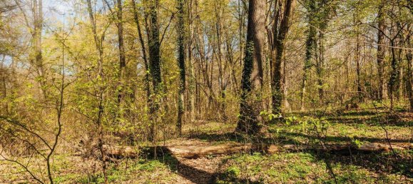 2-Zimmer Wohnung in Waltendorf, Austria, Nr. 162263 13