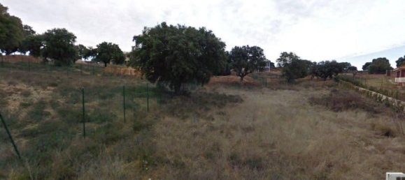 976m² Land in Carrascal de Barregas, Spain No. 82695 3